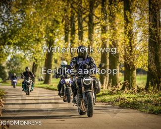 Herfstrit Moerzeke photo