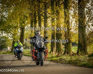 Herfstrit Moerzeke photo