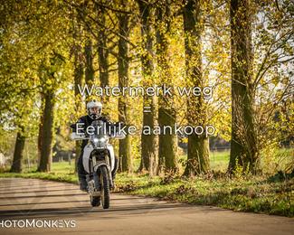 Balade d’automne Moerzeke photo