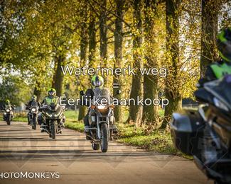 Herfstrit Moerzeke photo