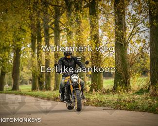 Herfstrit Moerzeke photo