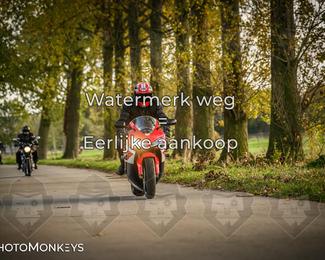 Herfstrit Moerzeke photo