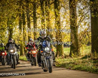 Herfstrit Moerzeke photo