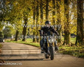 Herfstrit Moerzeke photo