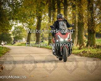 Herfstrit Moerzeke photo