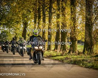 Herfstrit Moerzeke photo