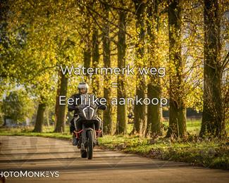 Herfstrit Moerzeke photo