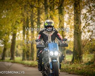 Herfstrit Moerzeke photo