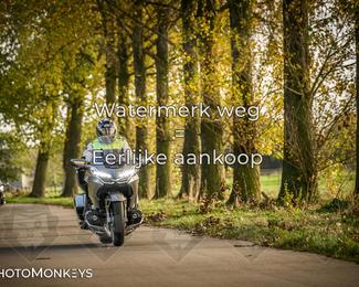 Herfstrit Moerzeke photo