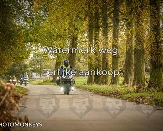 Herfstrit Moerzeke photo