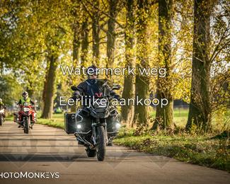 Herfstrit Moerzeke photo