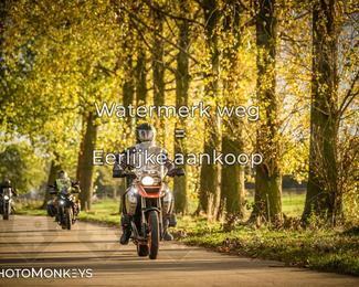 Balade d’automne Moerzeke photo