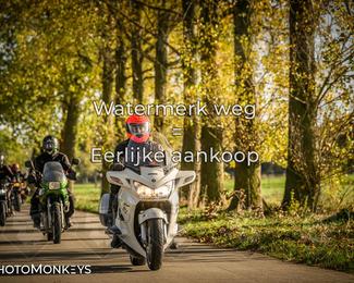 Herfstrit Moerzeke photo