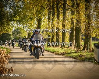 Herfstrit Moerzeke photo