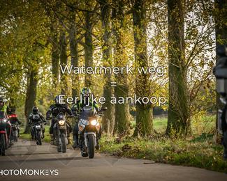 Herfstrit Moerzeke photo