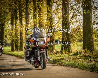 Herfstrit Moerzeke photo