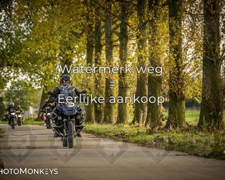 Herfstrit Moerzeke photo