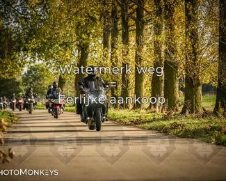 Herfstrit Moerzeke photo