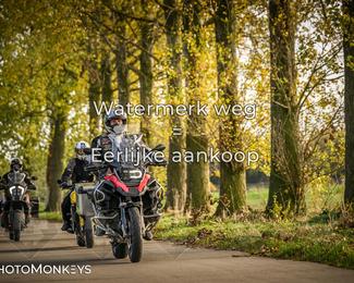 Herfstrit Moerzeke photo