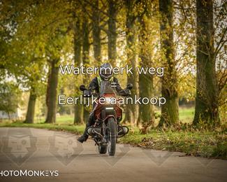 Balade d’automne Moerzeke photo