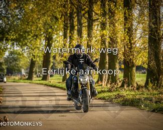 Herfstrit Moerzeke photo