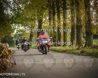 Herfstrit Moerzeke photo