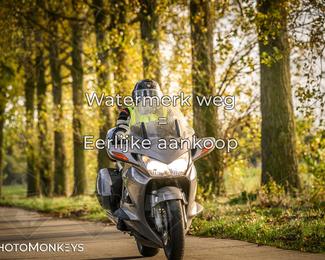 Herfstrit Moerzeke photo