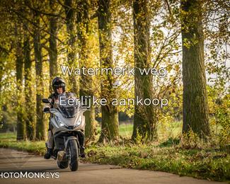 Herfstrit Moerzeke photo