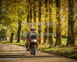 Herfstrit Moerzeke photo