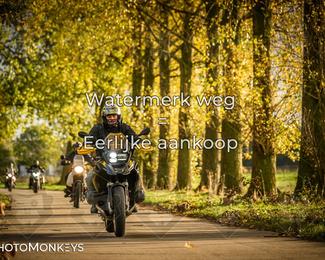 Herfstrit Moerzeke photo