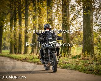 Herfstrit Moerzeke photo