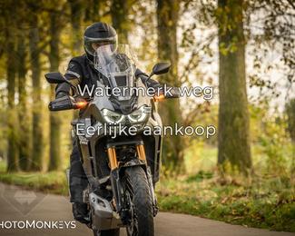 Herfstrit Moerzeke photo