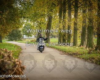 Herfstrit Moerzeke photo