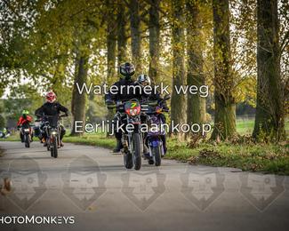 Balade d’automne Moerzeke photo