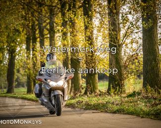 Herfstrit Moerzeke photo