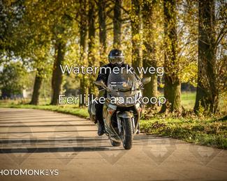 Herfstrit Moerzeke photo