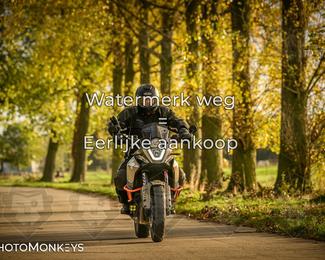 Herfstrit Moerzeke photo