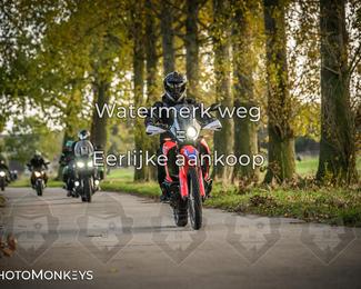 Balade d’automne Moerzeke photo