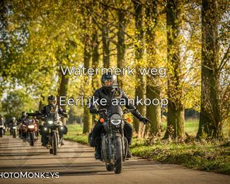 Herfstrit Moerzeke photo