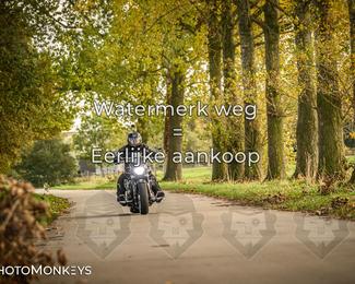 Herfstrit Moerzeke photo