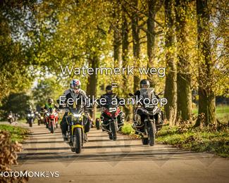 Herfstrit Moerzeke photo