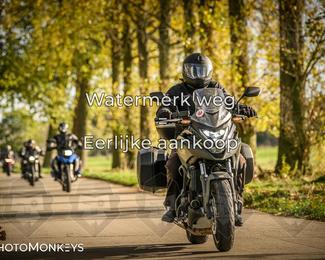 Herfstrit Moerzeke photo