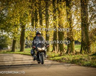 Herfstrit Moerzeke photo