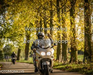 Balade d’automne Moerzeke photo