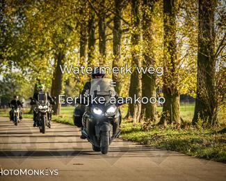 Herfstrit Moerzeke photo