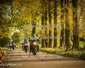 Herfstrit Moerzeke photo