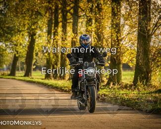 Herfstrit Moerzeke photo