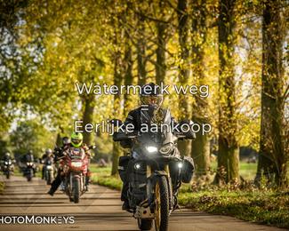 Herfstrit Moerzeke photo