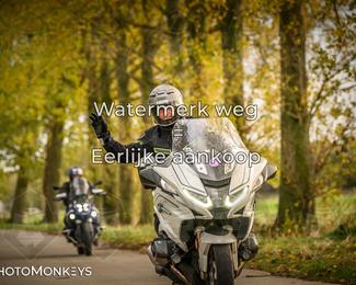 Herfstrit Moerzeke photo