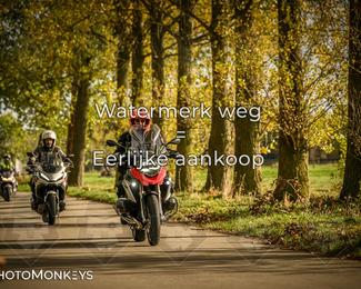 Herfstrit Moerzeke photo